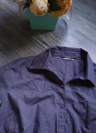 Женская блуза с манжетами на рукавах блузка блузочка рубашка большой размер батал 48/502 фото