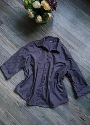 Женская блуза с манжетами на рукавах блузка блузочка рубашка большой размер батал 48/508 фото