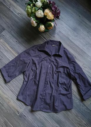 Жіноча блуза з манжетами на рукавах блузка блузочка сорочка великий розмір батал 48/507 фото
