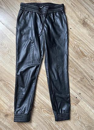 Джогери екошкіра