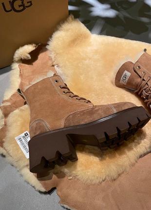 Черевики ugg5 фото