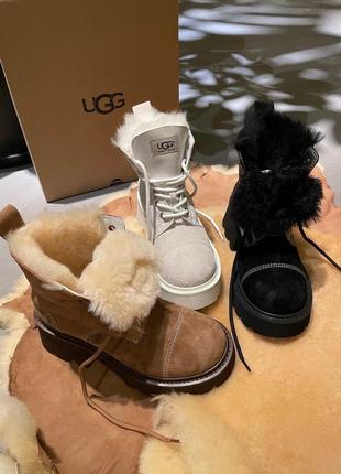 Черевики ugg8 фото