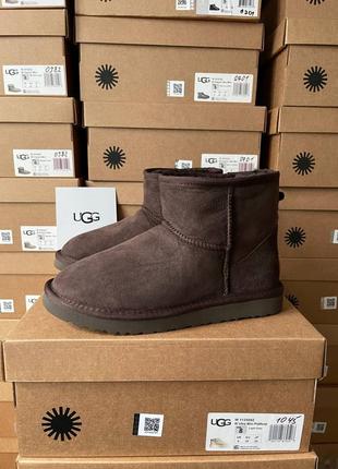 Угги ugg classic mini brown5 фото