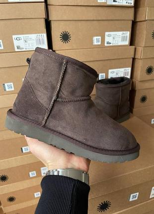 Угги ugg classic mini brown