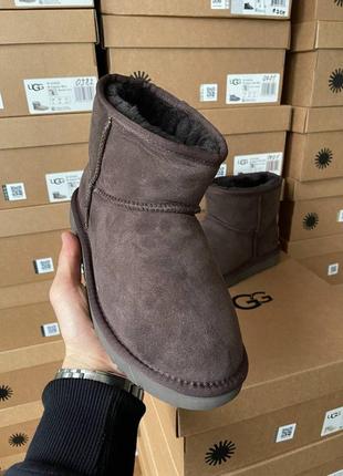 Угги ugg classic mini brown6 фото