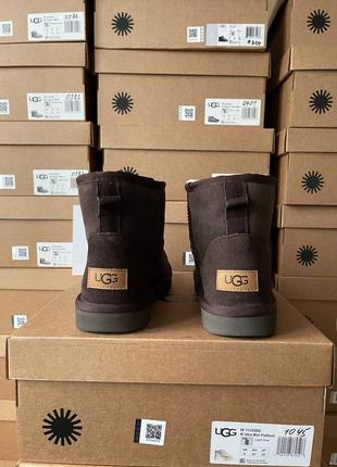 Угги ugg classic mini brown7 фото