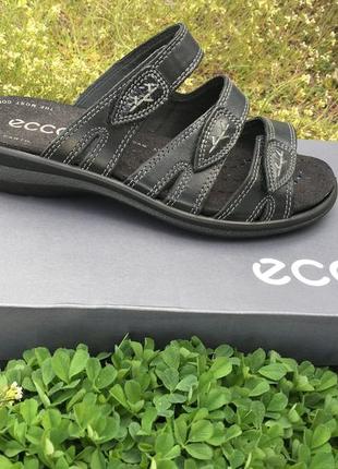 Женские шлепанцы ecco breeze 211063 01001