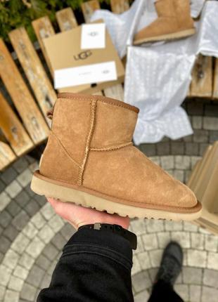 Угги ugg classic mini chestnut suede