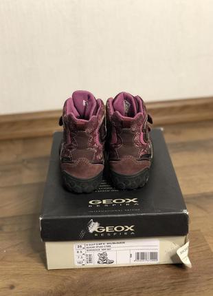 Сапоги зима geox 25 размер 2