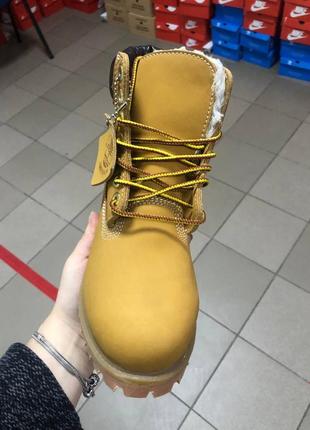 Ботінки зимові timberland з хутром 36-372 фото