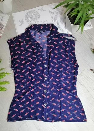 Блузка блуза кофточка синя яскрава оригінальні принт з птахами папугами1 фото