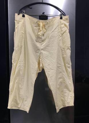 Бриджи батал коттон