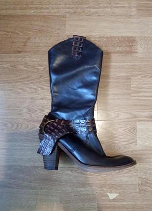 Шикарні казаки