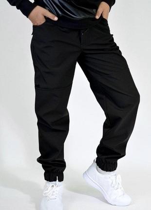 Теплі штани/джогери водонепроникні вітронепродувні єврозима
