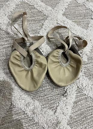 Получешки , чешки