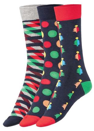 Fun socks шкарпетки чоловічі 3 пари