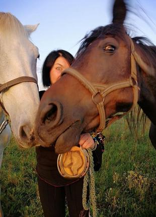 Підкова справжня що носив кінь. оберіг.