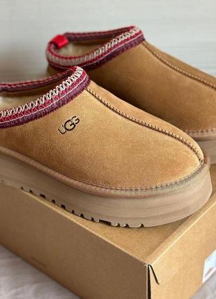 Ugg tasman platform / угги2 фото