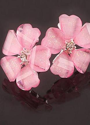 Сережки гвоздики квітка 🌺