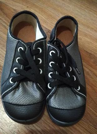 Кеди waldi p. 31, 32