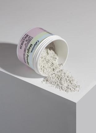 Очищувальна пудра для боротьби з чорними цятками і висипаннями hollyskin calamine. magic powder