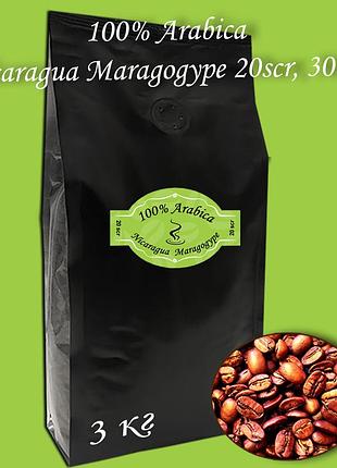 Кава зернова arabica nicaragua maragogupe 20scr 3000г. безкоштовна доставка від 1кг!
