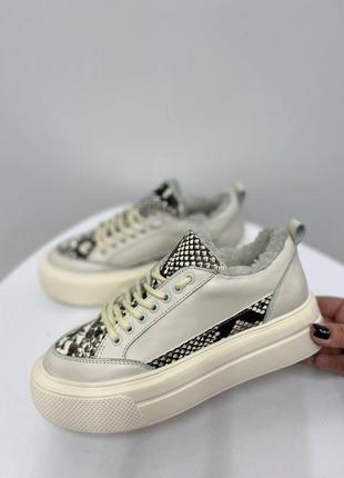 Кеди зима