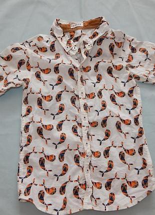 Рубашка модная легкая на мальчика 3года cadeau