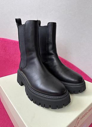 Челсі roberto serpentini