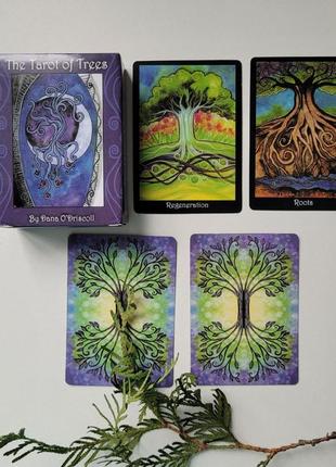 Таро дерев, the tarot of trees3 фото