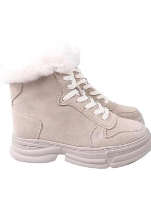 Черевики жіночі li fexpert сірі натуральна замша, 38