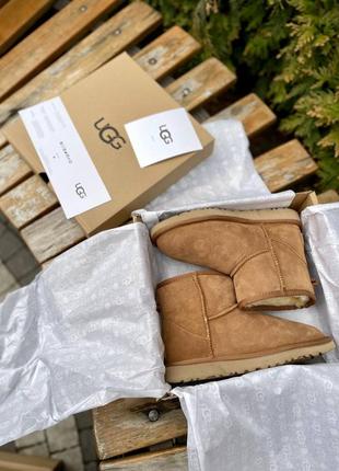 Уггі угги уги угі ugg classic mini chestnut suede