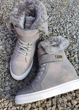 Женские ugg высокие, оригинал