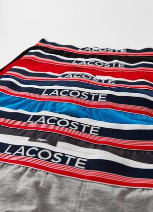 Подарочный набор боксеров трусы - шорты из 4 шт. lacoste с3078 в коробке хлопок.5 фото