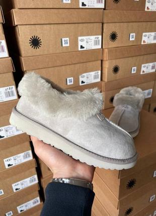 Уггі угги уги угі ugg coquette light grey6 фото