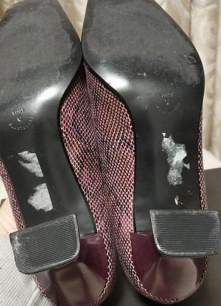 Брендовые качественные кожаные туфли hogl8 фото