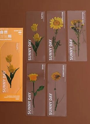 Прозрачные цветочные закладки для книг набор книжныхшин