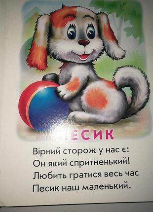 Кто это? книжка-картонка