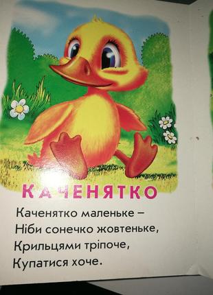 Кто это? книжка-картонка