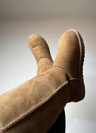 Угі ugg