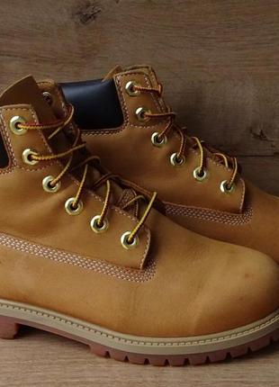 Черевики timberland premium 6 inch wp brown