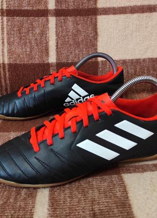 Оригінальне футбольне взуття футзалки залки adidas1 фото
