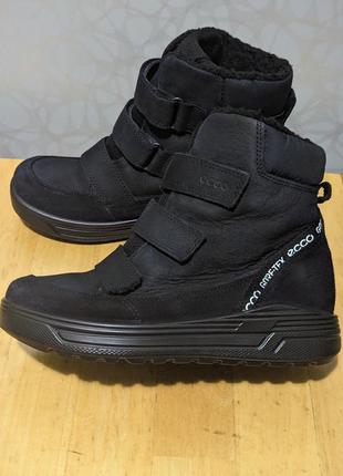 Ecco urban gore-tex - кожаные зимние водонепроницаемые ботинки