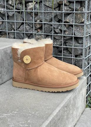 Угги угги угги угги ugg mini bailey стимулирует chestnut