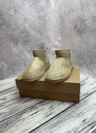 Угги женские, зимние женские угги ugg australia, угги низкие, замшевые мини угги, ugg женские. замш4 фото