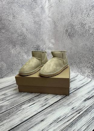 Угги женские, зимние женские угги ugg australia, угги низкие, замшевые мини угги, ugg женские. замш6 фото