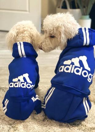 Одяг для собак. спортивний костюм