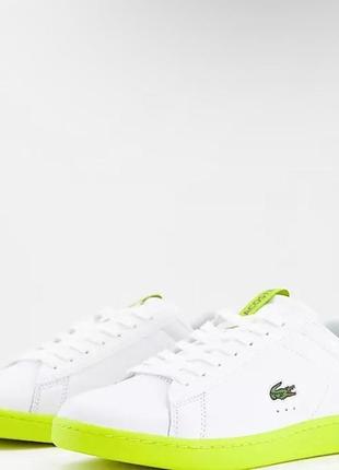 Оригінальні жіночі кросівки lacoste «carnaby lace up»