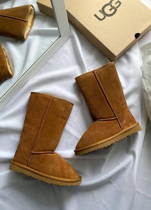 Уггі ugg classic tall i| boot caramel1 фото