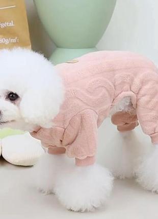 Одежда для собак . теплый боди